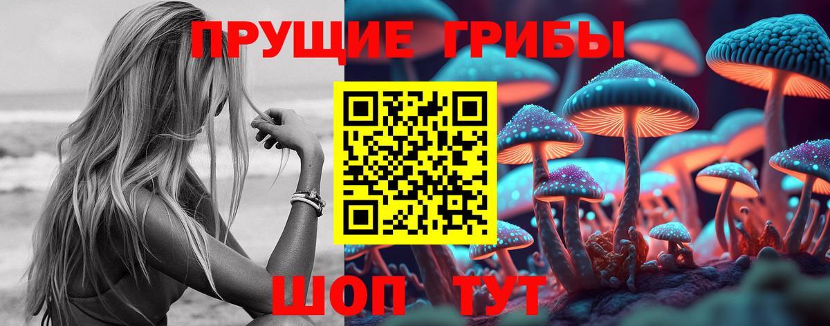Бугуруслан  Псилоцибиновые грибы Psilocybine cubensis  как найти   Вход с VPN  Галлюциногенные грибы Psilocybine cubensis 