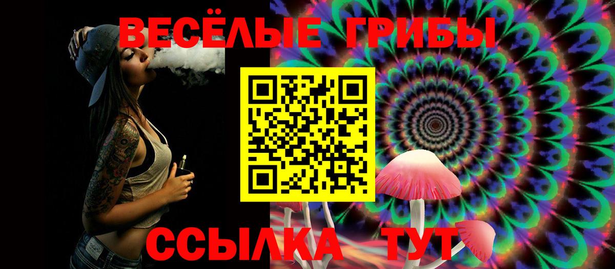 Псилоцибиновые грибы Psilocybe Бугуруслан